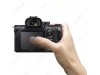 Sony Alpha A7R III Body Only